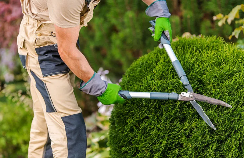 CBM preventative maintenance